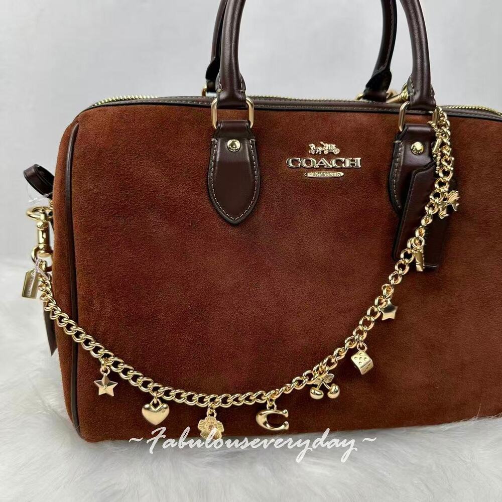 Coach Charm Chain Strap Brass/Gold Cce78 Star Heart Bow C Cherry Tea Rose No Bag